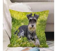 VJIZLOQB Throw Pillow Cushion Cover,Mini beautiful portrait of Miniature Schnauzer,Pillow Cover for Home Livingroom Couch Bed Sofa Decorate 18 x 18 in