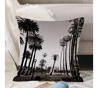 VJIZLOQB Throw Pillow Cushion Cover,Palm, Los Angeles Downtown Park View Tropical Nature California American Wahrze,Pillow Cover for Home Livingroom Couch Bed Sofa Decorate 16 x 16 in