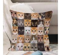 VJIZLOQB Throw Pillow Cushion Cover,Portraits of small kittens of various breeds,Pillow Cover for Home Livingroom Couch Bed Sofa Decorate 18 x 18 in