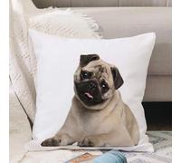 VJIZLOQB Throw Pillow Cushion Cover,Pug, pug puppy nine months old lying around the copy of the pet funny,Pillow Cover for Home Livingroom Couch Bed Sofa Decorate 18 x 18 in