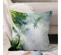 VJIZLOQB Throw Pillow Cushion Cover,Rainforest Sunbeam Among Tree Shadows Idyllic Solitude in the Jungle,Pillow Cover for Home Livingroom Couch Bed Sofa Decorate 18 x 18 in