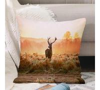 VJIZLOQB Throw Pillow Cushion Cover,Red Deer in the morning Sun Nature Wild Landscape Rural Field Heathers, M,Pillow Cover for Home Livingroom Couch Bed Sofa Decorate 18 x 18 in