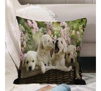 VJIZLOQB Throw Pillow Cushion Cover,Red Puppy Little Golden Retriever Puppies in the Basket Summer Pink Rose Garden Yellow,Pillow Cover for Home Livingroom Couch Bed Sofa Decorate 16 x 16 in