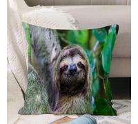 VJIZLOQB Throw Pillow Cushion Cover,sloth Manuel Antonio National Park Costa Rica Central America,Pillow Cover for Home Livingroom Couch Bed Sofa Decorate 16 x 16 in