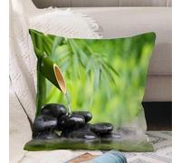 VJIZLOQB Throw Pillow Cushion Cover,Spa Still Life with Bamboo Fountain and Zen Stone in Water Painting The Picture Print On C,Pillow Cover for Home Livingroom Couch Bed Sofa Decorate 18 x 18 in