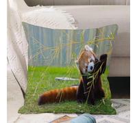 VJIZLOQB Throw Pillow Cushion Cover,The panda red or lesser panda (Ailurus fulgens),Pillow Cover for Home Livingroom Couch Bed Sofa Decorate 18 x 18 in