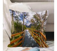 VJIZLOQB Throw Pillow Cushion Cover,Together, wooden walk in the forest Wilderness Getaway Trail Trail Summer hike,Pillow Cover for Home Livingroom Couch Bed Sofa Decorate 20 x 20 in