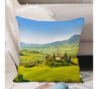 VJIZLOQB Throw Pillow Cushion Cover,Tuscan, Rural Landscape Cypresses Along the Path of Antico vignette,Pillow Cover for Home Livingroom Couch Bed Sofa Decorate 12 x 12 in