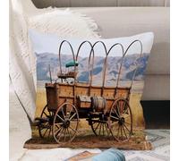VJIZLOQB Throw Pillow Cushion Cover,Western, Photo of the nostalgic Old West Indian carriage in farm style,Pillow Cover for Home Livingroom Couch Bed Sofa Decorate 20 x 20 in