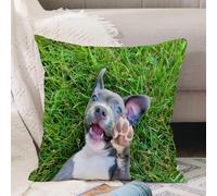 VJIZLOQB Throw Pillow Cushion Cover,who lies in the grass and shows paw,Pillow Cover for Home Livingroom Couch Bed Sofa Decorate 20 x 20 in