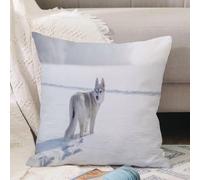 VJIZLOQB Throw Pillow Cushion Cover,Wild Siberian Husky Winter Plays Snow Forest Alaskan Animals Wolf Wildlife Nature Cold,Pillow Cover for Home Livingroom Couch Bed Sofa Decorate 12 x 12 in
