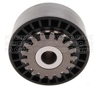 Aux Belt Tensioner 531074410 INA Drive V-Ribbed 6453NN 9646495880 1175000QAH New