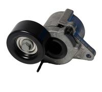SKF VKM 62028 Tensioner pulley