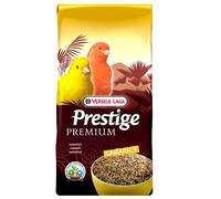 VL Canary Super Breeding Prestige Prem