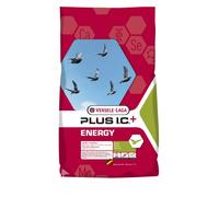 VL Energy Plus I.C.
