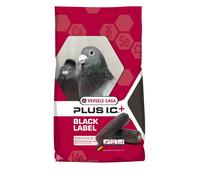 VL Gerry Plus I.C. Black Label