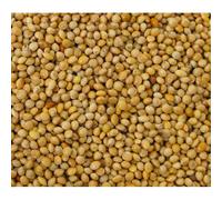 VL Milletseed Yellow