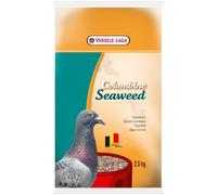 VL Seaweedgrit
