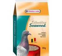 VL Seaweedgrit