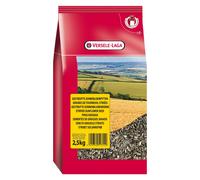 VL Sunflowerseed Striped Toma Large