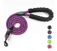 VLDCO 10FT/3M Strong Dog Leads Leash Extra Heavy Duty Rock Climbing Rope Comfortable Padded Handle Highly Reflective Threads for Small Medium Large Dogs(Purple)