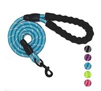 VLDCO 10FT/3M Strong Dog Leads Leash Extra Heavy Duty Rock Climbing Rope Comfortable Padded Handle Highly Reflective Threads for Small Medium Large Dogs(Blue)
