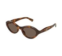 VLogo Signature 52mm Cat-Eye Sunglasses - female - Valentino - Sunglasses - Brown - 52 MM - Accessories 52 MM
