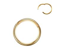 VMDVBNA Nose Ring 2Pcs Hinged Segment Nose Hoop Rings Women Surgical Steel Nose Rings Septum Clicker Ring Ear Daith Hoop Earring Piercing Jewelry(Gold color,16G 1.2x10mm)