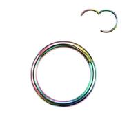 VMDVBNA Nose Ring 2Pcs Hinged Segment Nose Hoop Rings Women Surgical Steel Nose Rings Septum Clicker Ring Ear Daith Hoop Earring Piercing Jewelry(Rainbow color,20G 0.8x6mm)