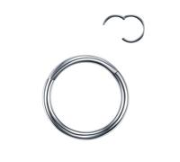 VMDVBNA Nose Ring 2Pcs Hinged Segment Nose Hoop Rings Women Surgical Steel Nose Rings Septum Clicker Ring Ear Daith Hoop Earring Piercing Jewelry(Silver color,18G 1.0x16mm)