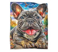 VMPLOKIJH French Bulldog Pattern 3D Flannel Blanket, Soft Plush Fleece Throw, Warm Cozy Lightweight Blanket for Sofa Bed Couch Living Room Bedroom 70x80inch(180x200cm)