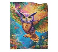 VMPLOKIJH Owl Pattern 3D Flannel Blanket, Soft Plush Fleece Throw, Warm Cozy Lightweight Blanket for Sofa Bed Couch Living Room Bedroom 60x80inch(150x200cm)