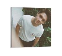 VN QYHIHF Niall Horan Hidden Gems Canvas Poster Wall Art Decor Print Picture Paintings for Living Room Bedroom Decoration Frame-style 12x12inch(30x30cm)