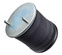 VNABIA Compatible With Heavy Duty Truck Front Rear L/R Air Strut Air Pneumatic Suspension Bag 1T19J-6 W01-358-8050 11105C16A320 B12514013 1685174C1 Car Air Suspension Bags
