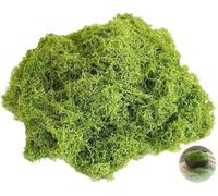 VNIDJGB 100g Fake Moss， Artificial Moss，For Indoor Plant Pots Decorative，Light Green Faux MossDecorative，For Home Arts And Crafts，Floral Arrangements and DIY Decorations Craft Projects