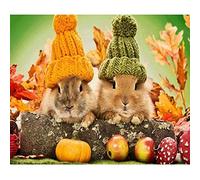 VNLMKS 5D Diamond Painting Kits Round Full Drill Diamond Arts Craft Crystal Rhinestone DIY Cross Stitch Animal Rabbit Personalised Diamond Painting for Home Wall Decor 30×40cm