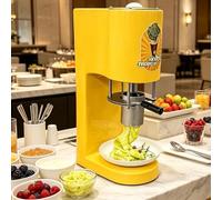 vnmudzeo 420ml Spaghetti Ice Cream Maker,w/4 Interchangeable Molds,Professional Ice Cream Noodle Extruder,for Hotels Catering Snack Bar Buffet Stations Yellow