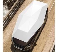 vnmudzeo Portable Auto Protection Sunshade,for Block Bird Droppings,Acid Rain,Fully Automatic Summer Car Umbrella Cover,SilverGray-5.2m/17.1ft