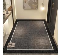 VNsdSD Indoor Door mat Entrance Rugs,Non Slip Welcome,Easy to Clean Floor Mats for Entry,Patio,High Traffic Areas(C,250x360cm)