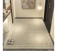 VNsdSD Indoor Door mat Entrance Rugs,Non Slip Welcome,Easy to Clean Floor Mats for Entry,Patio,High Traffic Areas(A,160x250cm)