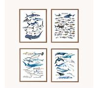 VNWEK Watercolor Rustic Sharks and Whales Wall Art Poster Prints Unframed 12”x16”Set Of 4,Farmhouse Marine Life Decorations for Home Bedroom Living Room Classroom,Gifts For Marine Life Lovers Students
