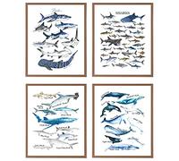 VNWEK Watercolor Rustic Sharks and Whales Wall Art Poster Prints Unframed 8”x10”Set Of 4,Farmhouse Marine Life Decorations for Home Bedroom Living Room Classroom,Gifts For Marine Life Lovers Students