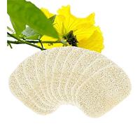 Voarge Pack of 10 Natural Loofah Sponge 8 x 13 cm Loofah Sponge, Soap Dish Soap Holder Accessories for Shower/Bathroom/Kitchen/Worktop, Beige