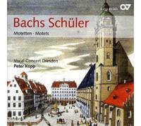 Vocal Concert Dresden Motets (Kopp) (CD) Album