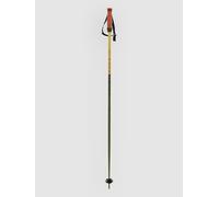 Völkl Phantastick 16mm Poles 2025 Ski Poles green 125