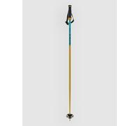 Volkl Phantastick 18mm Poles Golden 120 cm
