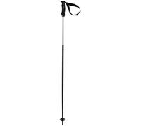 Volkl Phantastick Iii Poles Silver 110 cm