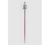 Volkl Phantastick Woman Poles