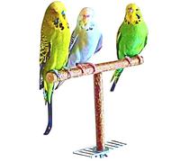 Vogelgaleria Approaching perch from the finest natural wood. Selfmade