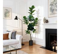VOGREX Artificial Ficus Fig Tree Plant with Planter Pot 180cm in Green VOGREX Green